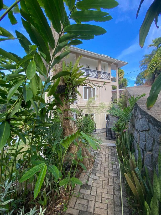 South Hill Villa Anse Royale Kültér fotó
